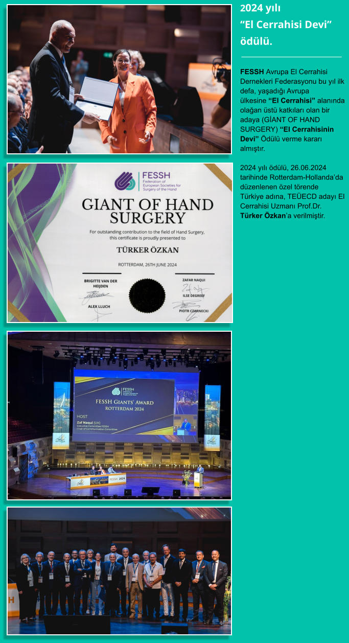 FESSH Avrupa El Cerrahisi Dernekleri Federasyonu bu yıl ilk defa, yaşadığı Avrupa ülkesine “El Cerrahisi” alanında olağan üstü katkıları olan bir adaya (GİANT OF HAND SURGERY) “El Cerrahisinin Devi” Ödülü verme kararı almıştır.  2024 yılı ödülü, 26.06.2024 tarihinde Rotterdam-Hollanda’da düzenlenen özel törende Türkiye adına, TEÜECD adayı El Cerrahisi Uzmanı Prof.Dr. Türker Özkan’a verilmiştir. 2024 yılı “El Cerrahisi Devi” ödülü.